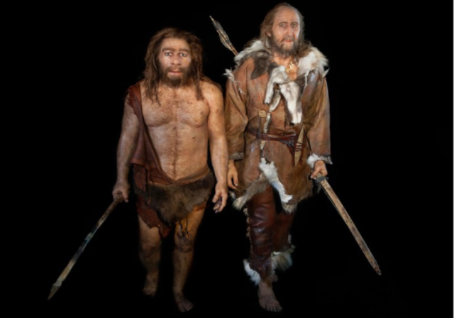4. Surgimiento de los homínidos: Homo sapiens neanderthalensis