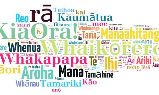 Te Reo recognised as official language