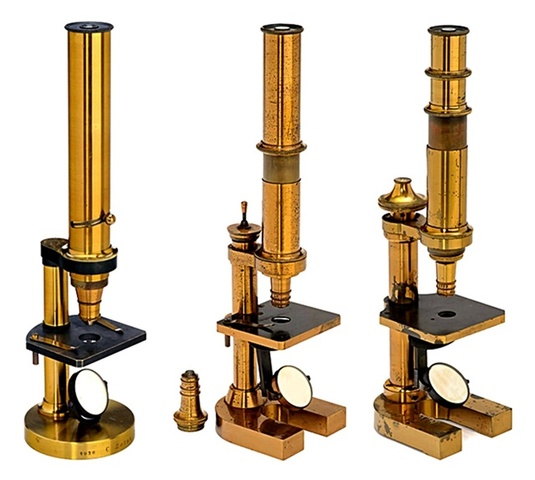 Microscopio compuesto de Carl Fiedrich Zeiss