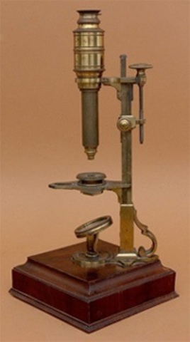 MICROSCOPIO COMPUESTO DE CUFF