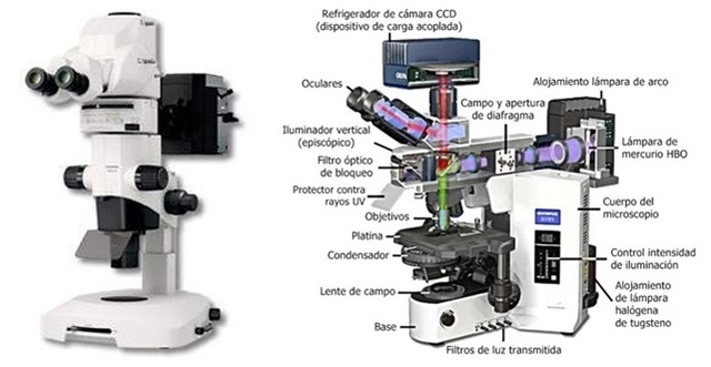 MICROSCOPIO DE LUZ ULTRAVIOLETA