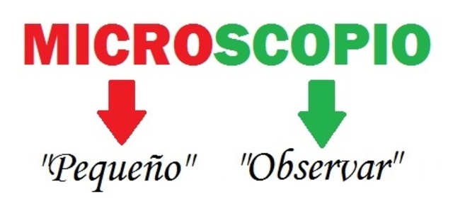 INTRODUCCIÓN DEL TÉRMINO “MICROSCOPIO”