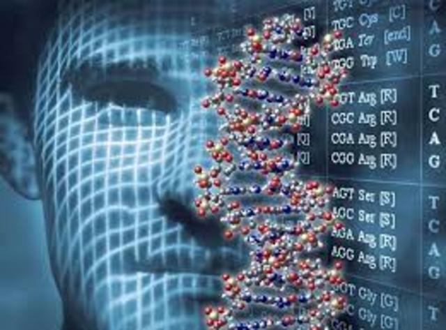 Jelcom y Mondon dan el primer ejemplo de control de la expresión de los genes a novel de transcripción.