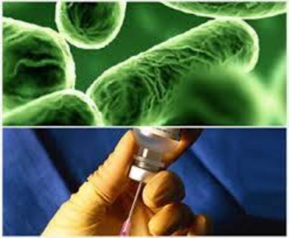 Produccion de insulina humana usando E. Coli.