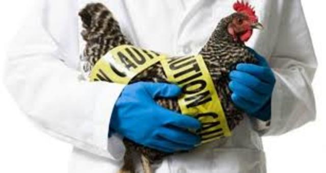 Aparicion de la gripa Aviar del virus influenza que puede transmitirse al hombre.