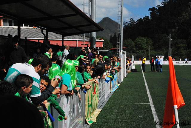 Temporada 2012/13, Primera Regional