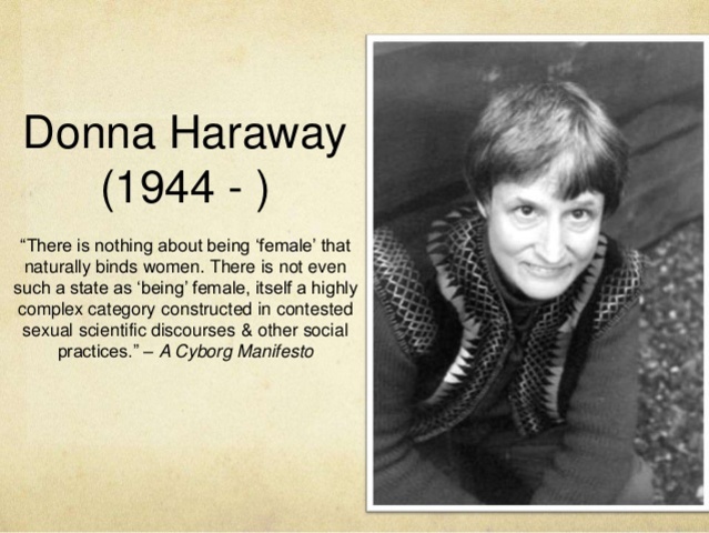 Manifesto for Cyborgs: Science, Technology and Socialist-Feminisim in the 1980s