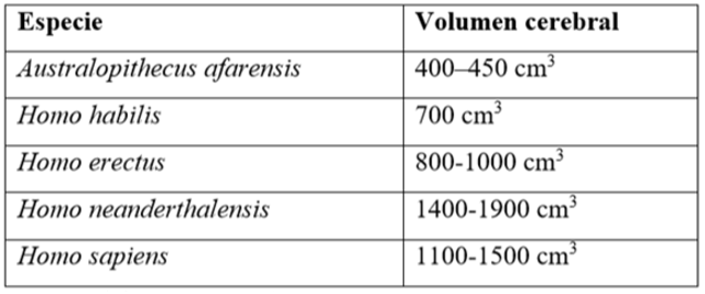 EVOLUCIÓN DEL TAMAÑO DEL CEREBRO EN HOMINIDOS