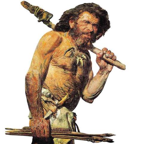 HOMO SAPIENS NEANDERTHALENSIS
