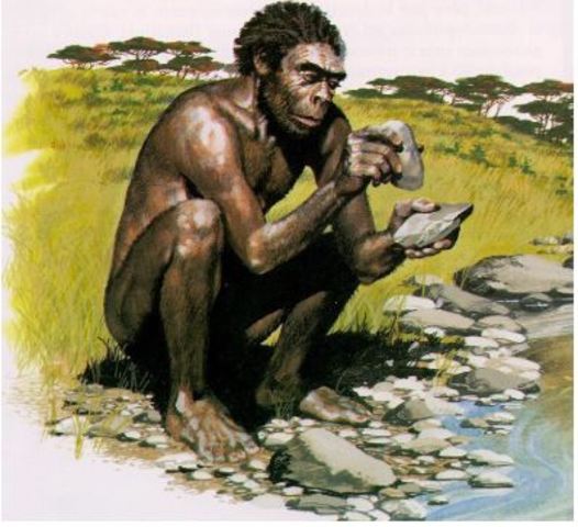 Surgimiento de los homínidos: Homo habilis