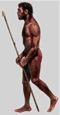 Surgimiento de los homínidos: Homo sapiens sapiens