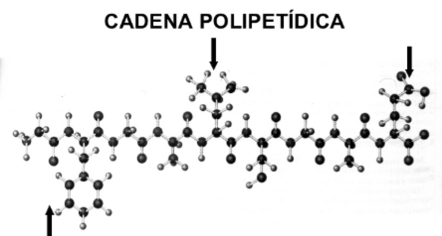 William Astbury (1898-1961)