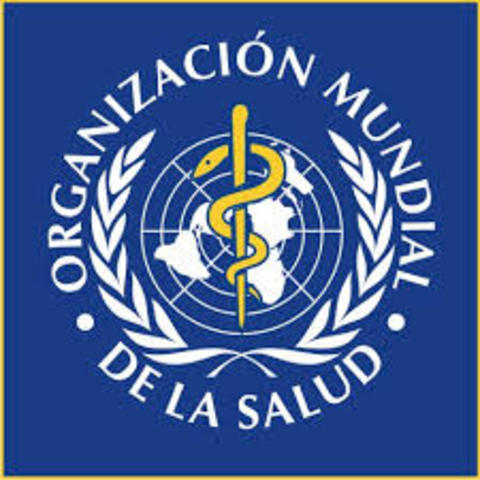 Grupo de trabajo de la OMS