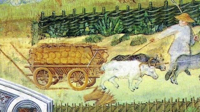 Trabajadores independientes