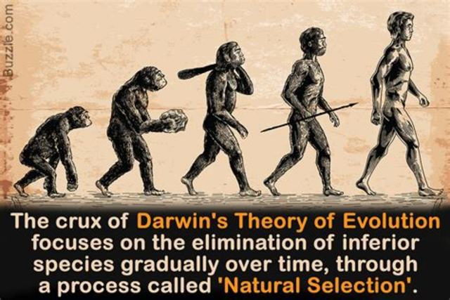 Darwin's Theory