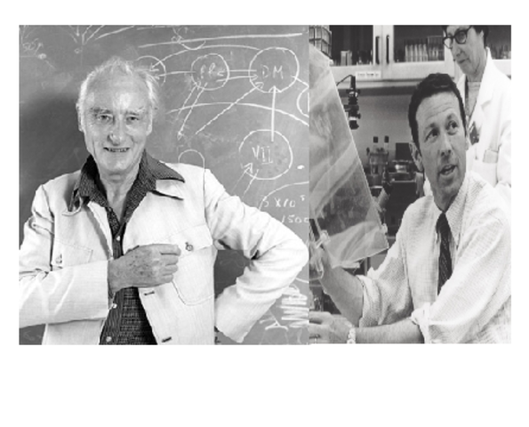 Francis Crick (1916-2004) y Paul Berg (1926)