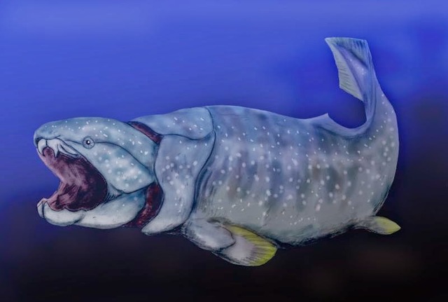 Surgimiento del primer cerebro