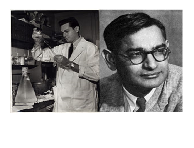 Marshall Warren Nirenberg (1927-2010) y Har Gobind Khorana (1922-1993)
