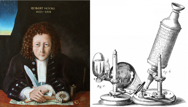Robert Hooke observa "células" de corcho
