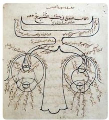 Dibujo más antiguo de la conexión visual con el cerebro.  Y estudio de la magnificación de los lentes