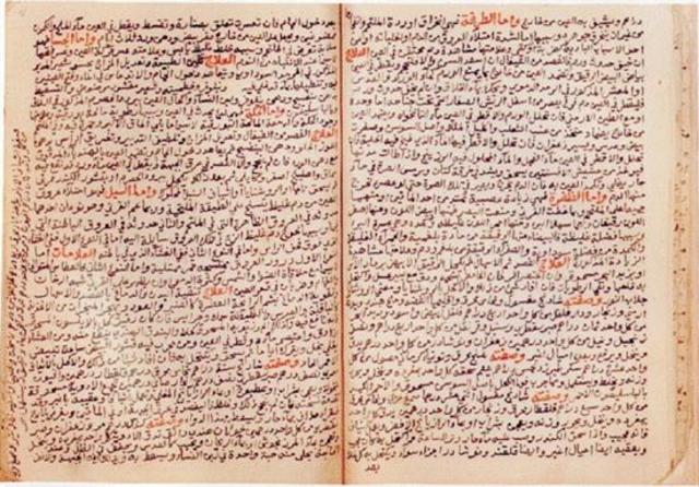 Teoría óptica de la visión