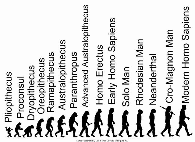 evolución de la especie humana