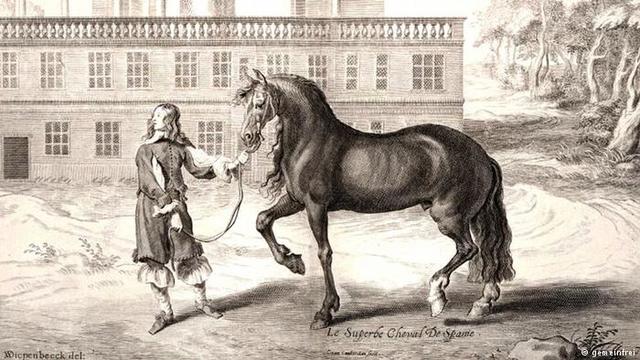 Domesticación del caballo