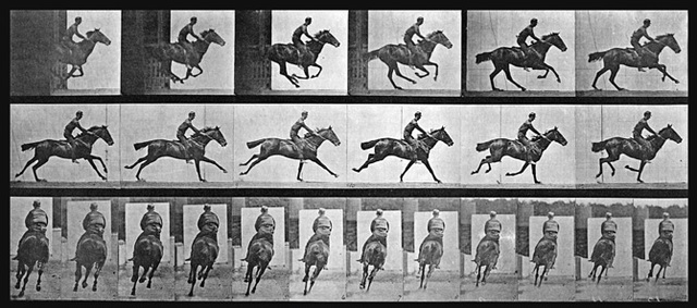 Twelve different pictures