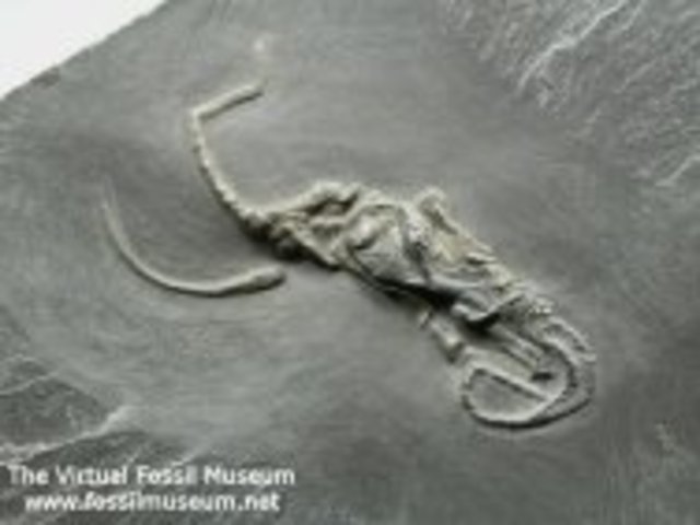 Charles looks For Evidence