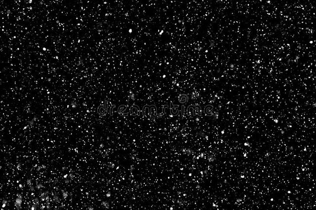 declaración de independencia