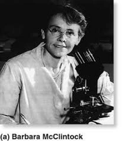 Barbara McClintock (1902-1990)