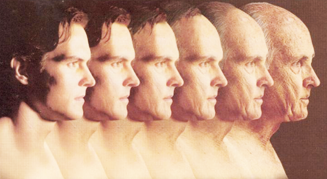 Envejecimiento definicion l