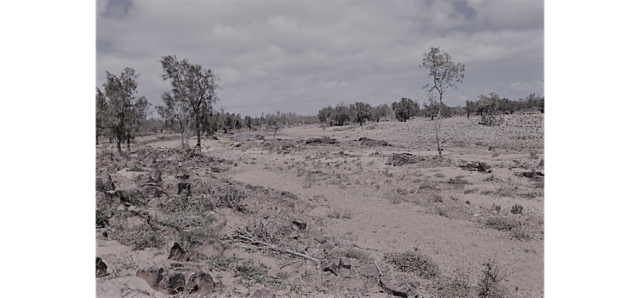 Geraldine Mine opened