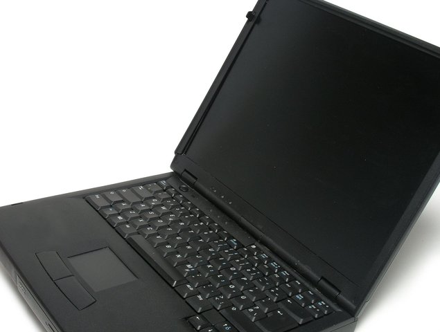 Young Adulthood - New