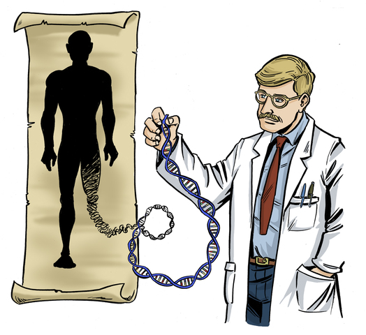 Secuenciación Y El Cartografiado Del Genoma Humano