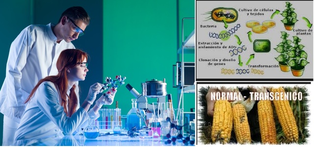 Académicos Estadounidenses