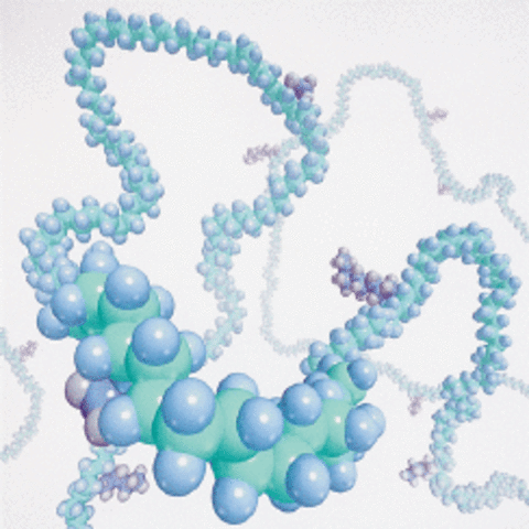 PREMIO NOBEL POR QUÍMICA MACRO MOLECULAR (1953)