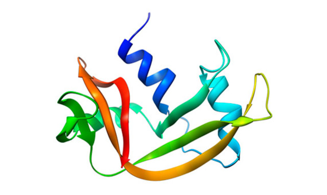 PREMIO NOBEL POR SU TRABAJO EN RIBONUCLEASA Y AMINOÁCIDOS, EN LA CONFORMACIÓN BIOLÓGICA DE LOS MISMOS (1972)