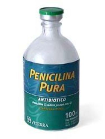 Creación de la Penicilina