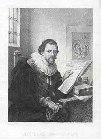 Jan Swammerdam