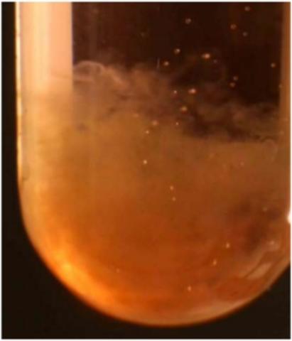 Estudio de la estabilidad de los Coloides.