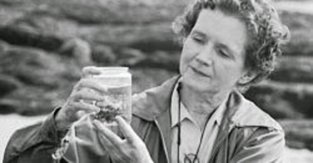 RACHEL CARSON