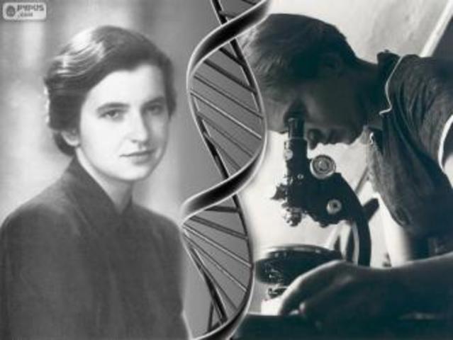 ROSALIN FRANKLIN