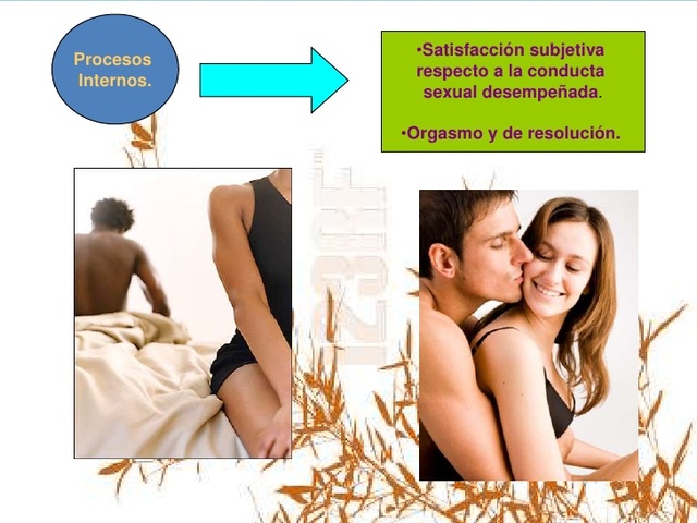 MODELOS DE LA EDUCACIÓN SEXUAL