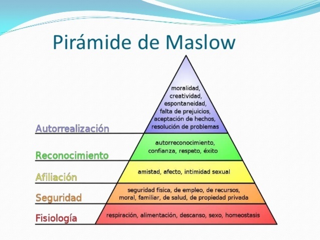 TEORÍA DEL COMPORTAMIENTO ORGANIZACIONAL