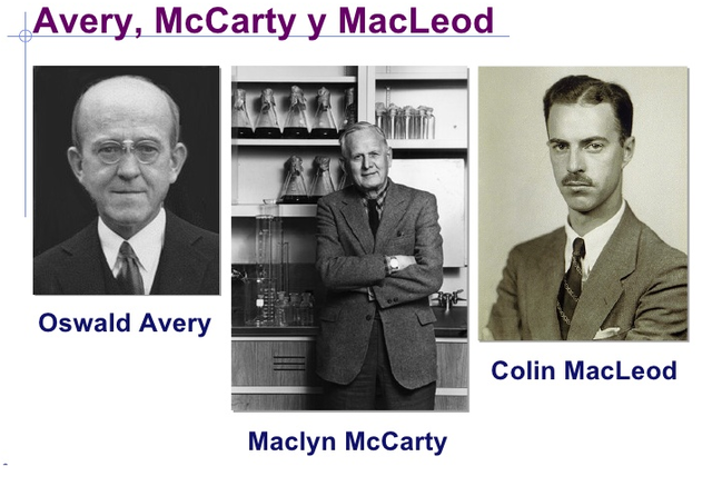 Descubrimiento de la relación entre Genes y  ADN