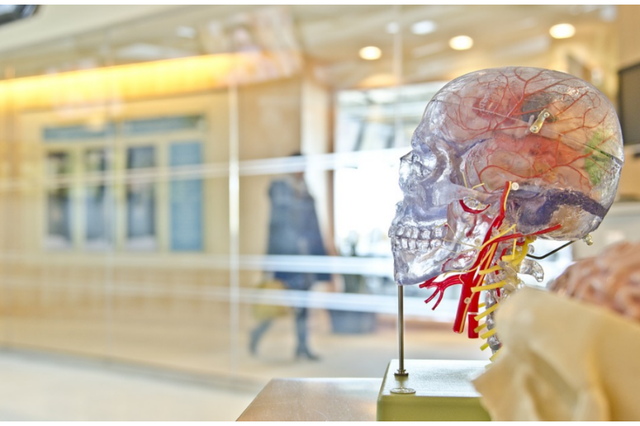 Asociación Latinoamericana y primer departamento de Neuropsicología