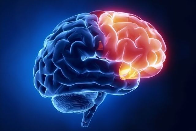 El pregrado de Neuropsicología