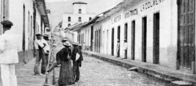 LA CULEBRA DE PICO DE ORO