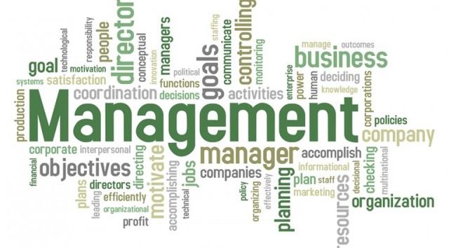 MANAGEMENT